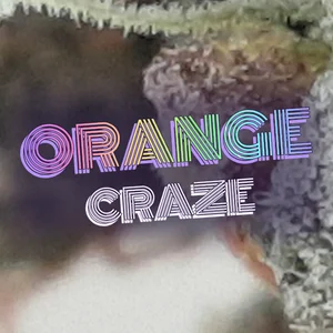 Orange Craze Cannabis Strain