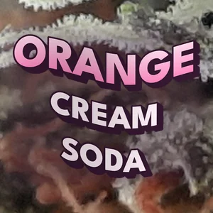 Orange Cream Soda Cannabis Strain