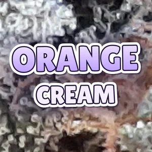 Orange Cream Cannabis Strain