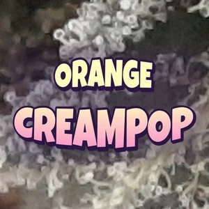 Orange Creampop Cannabis Strain