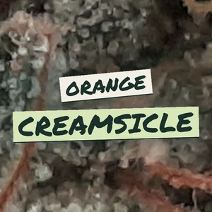 Orange Creamsicle Cannabis Strain