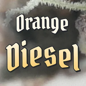 Orange Diesel Cannabis Strain