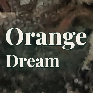 Orange Dream Cannabis Strain