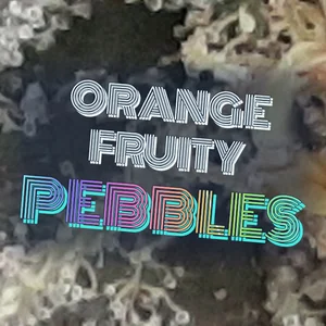 Orange Fruity Pebbles Cannabis Strain