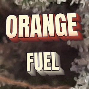 Orange Fuel Cannabis Strain