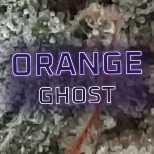 Orange Ghost Cannabis Strain