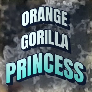 Orange Gorilla Princess Cannabis Strain