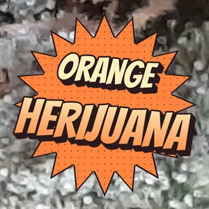 Orange Herijuana Cannabis Strain