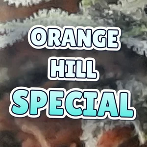 Orange Hill Special Cannabis Strain