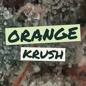 Orange Krush Cannabis Strain