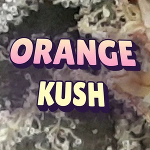 Orange Kush Cannabis Strain