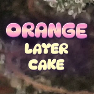 Orange Layer Cake Cannabis Strain