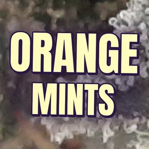 Orange Mints Cannabis Strain