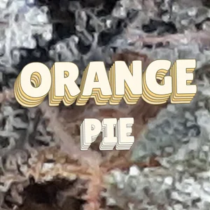 Orange Pie Cannabis Strain