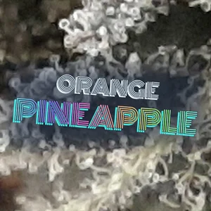 Orange Pineapple Cannabis Strain