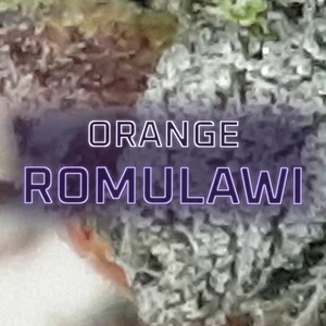 Orange Romulawi Cannabis Strain