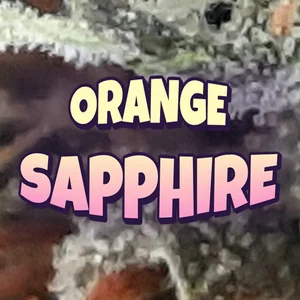 Orange Sapphire Cannabis Strain