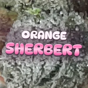 Orange Sherbert Cannabis Strain