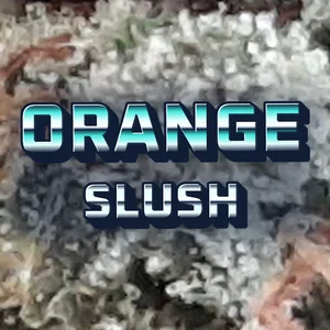 Orange Slush Cannabis Strain
