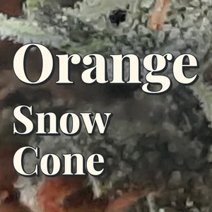 Orange Snow Cone Cannabis Strain