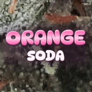 Orange Soda Cannabis Strain