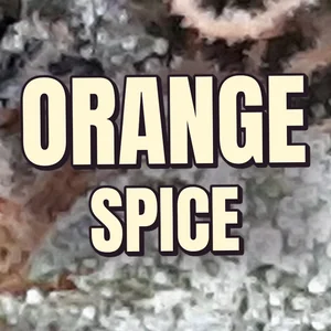 Orange Spice Cannabis Strain