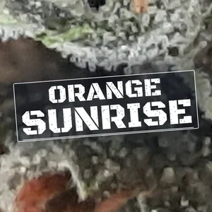 Orange Sunrise Cannabis Strain