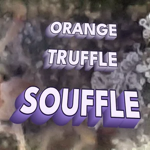 Orange Truffle Souffle Cannabis Strain