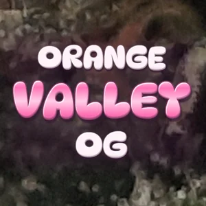 Orange Valley OG Cannabis Strain