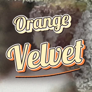 Orange Velvet Cannabis Strain
