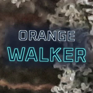 Orange Walker Cannabis Strain
