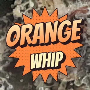Orange Whip Cannabis Strain