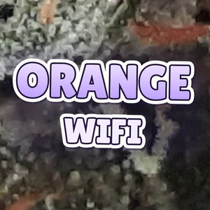 Orange WiFi Cannabis Strain