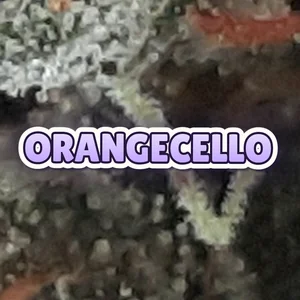 Orangecello Cannabis Strain