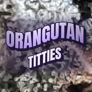 Orangutan Titties Cannabis Strain