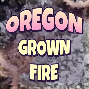 Oregon Grown Fire Cannabis Strain