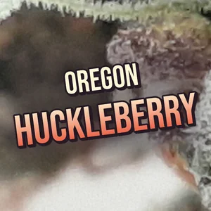 Oregon Huckleberry Cannabis Strain