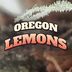 Oregon Lemons Cannabis Strain