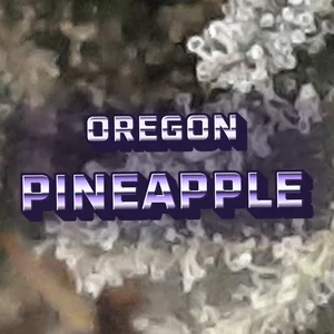 Oregon Pineapple Cannabis Strain