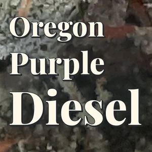 Oregon Purple Diesel Cannabis Strain