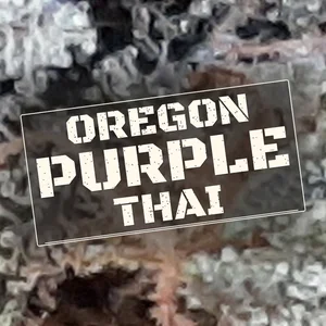 Oregon Purple Thai Cannabis Strain