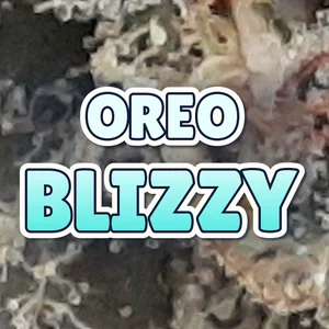 Oreo Blizzy Cannabis Strain