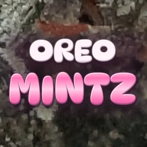 Oreo Mintz Cannabis Strain