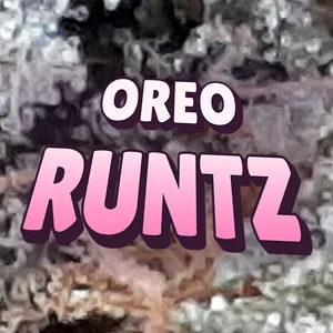 Oreo Runtz Cannabis Strain