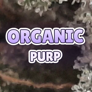 Organic Purp Cannabis Strain