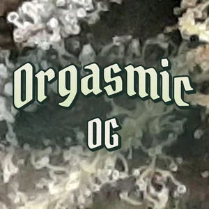 Orgasmic OG Cannabis Strain