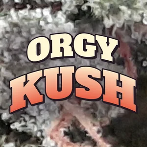 Orgy Kush Cannabis Strain