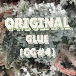 Original Glue (GG#4) Cannabis Strain