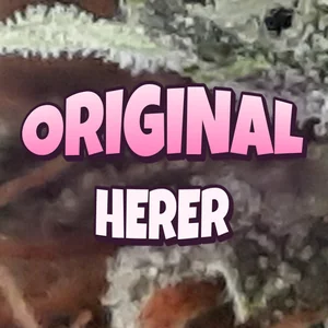 Original Herer Cannabis Strain