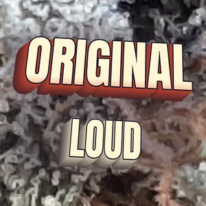 Original Loud Cannabis Strain